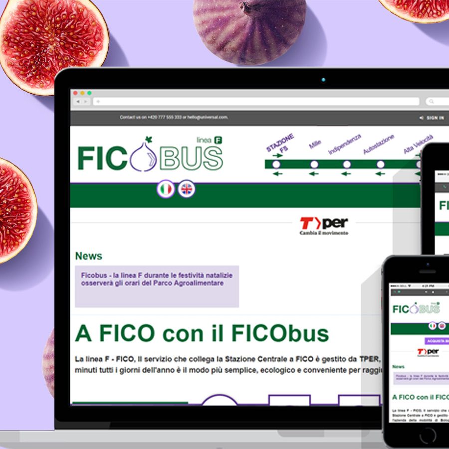 Ficobus